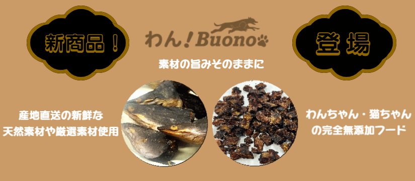 sign_2025-07-30-1537.png